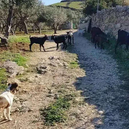 Agroturismo Damianakis Village Rethymno *