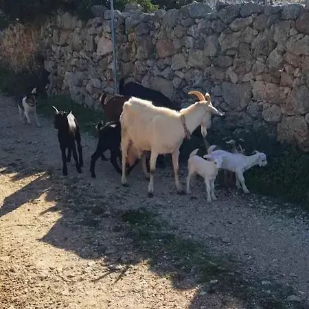 Agroturismo Damianakis Village Rethymno