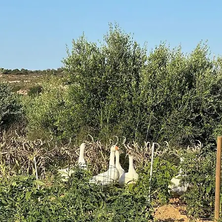 Agroturismo Damianakis Village Rethymno