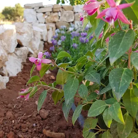 Damianakis Village Rethymno * Somatás