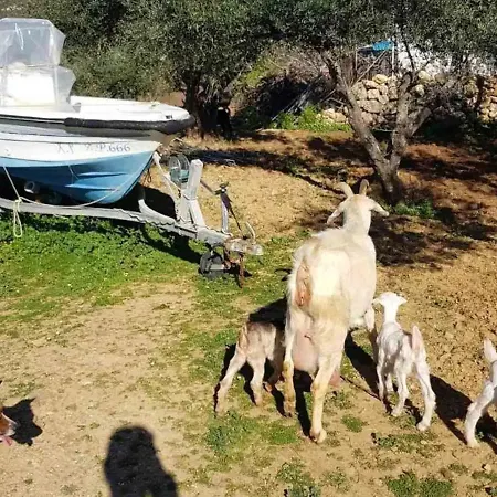 Damianakis Village Rethymno Somatás