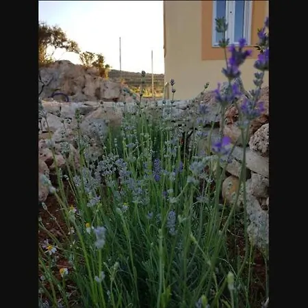 Damianakis Village Rethymno
