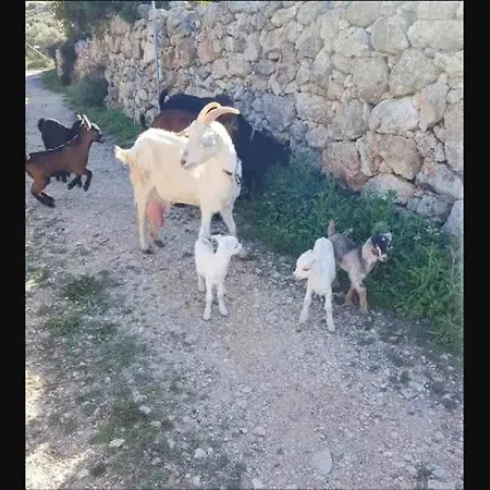 Damianakis Village Rethymno Farm stay Somatas