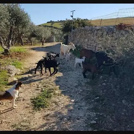 Farm stay Damianakis Village Rethymno