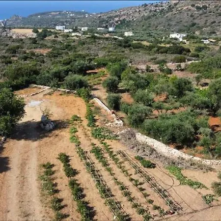 Damianakis Village Rethymno Somatas